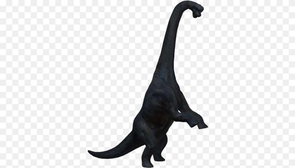 Brachiosaurus Hd Brachiosaur, Animal, Dinosaur, Reptile, T-rex Free Png Download