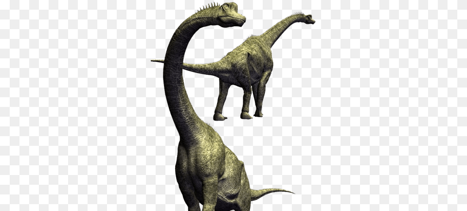 Brachiosaurus Hd Dinosaurs Animal, Dinosaur, Reptile, T-rex Free Transparent Png