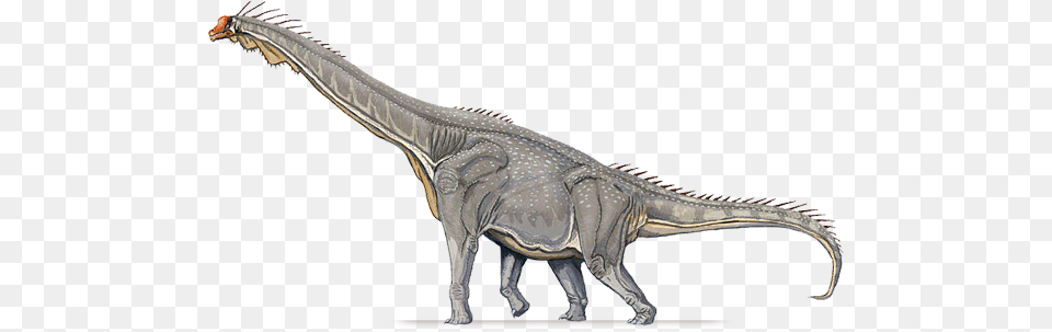 Brachiosaurus Hind Leg, Animal, Dinosaur, Reptile, T-rex Free Transparent Png