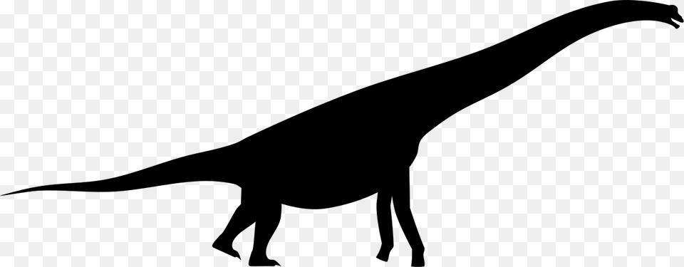 Brachiosaurus Silhouette, Gray Free Png