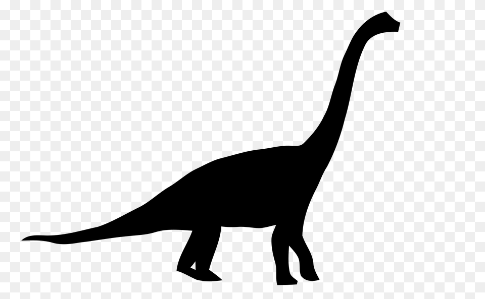 Brachiosaurus Silhouette, Gray Png Image