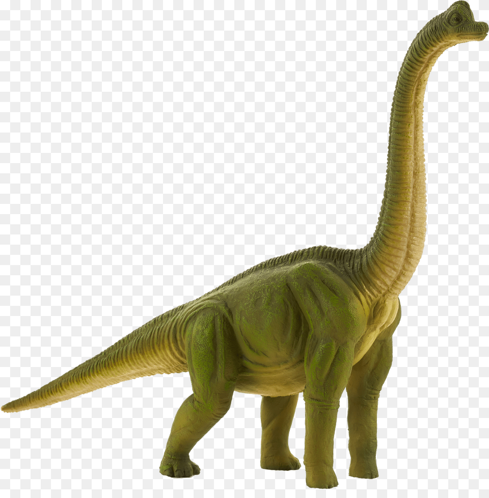 Brachiosaurus Toy Image With No Brachiosaurus Clipart Free Transparent Png