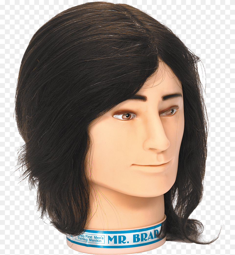Brad Minikin Lace Wig, Adult, Female, Person, Woman Png