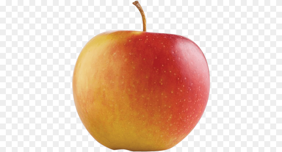 Braeburn Apples Hy Vee Aisles Online Grocery Shopping Mcintosh, Apple, Food, Fruit, Plant Png