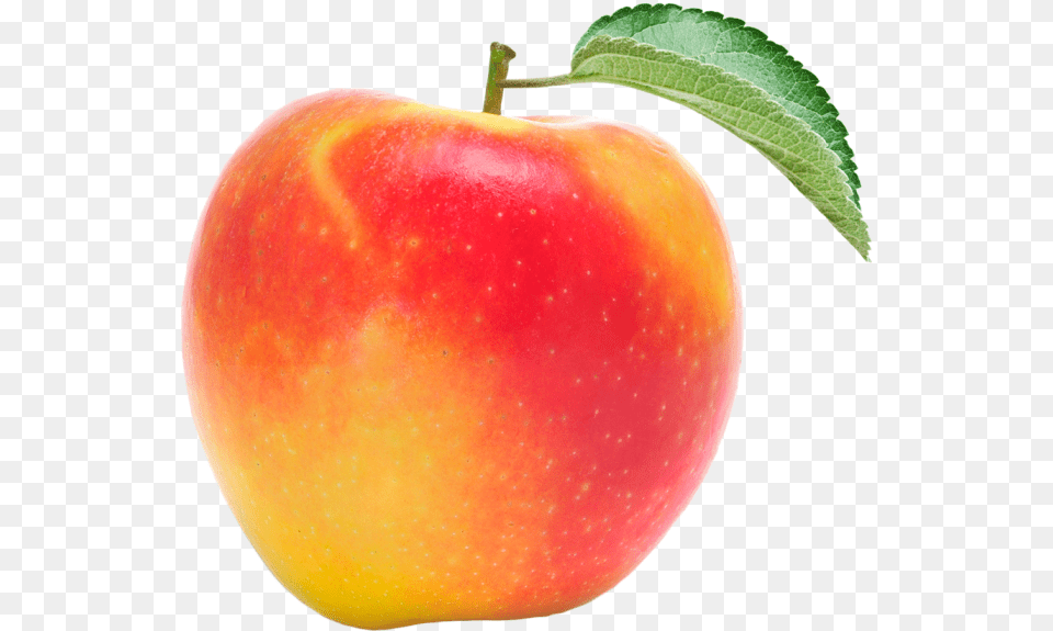 Braeburn Apples Themealdb Mcintosh, Apple, Food, Fruit, Plant Free Png Download