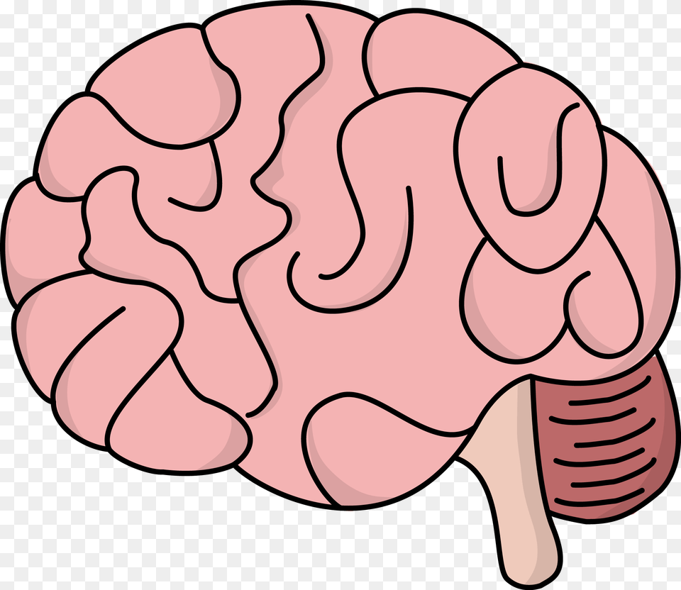 Brain, Body Part, Hand, Person, Baby Free Png Download
