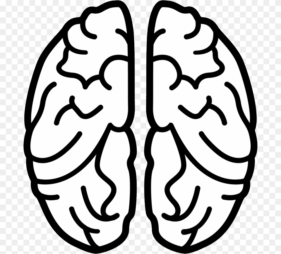 Brain, Stencil, Food, Nut, Plant Free Png