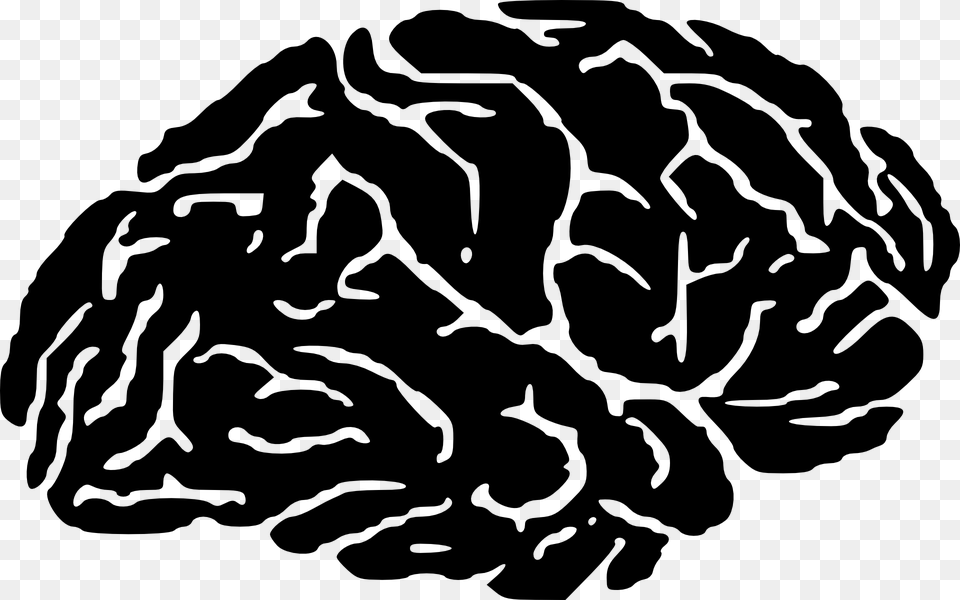 Brain, Gray Free Png Download