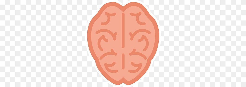 Brain Baby, Face, Head, Person Png