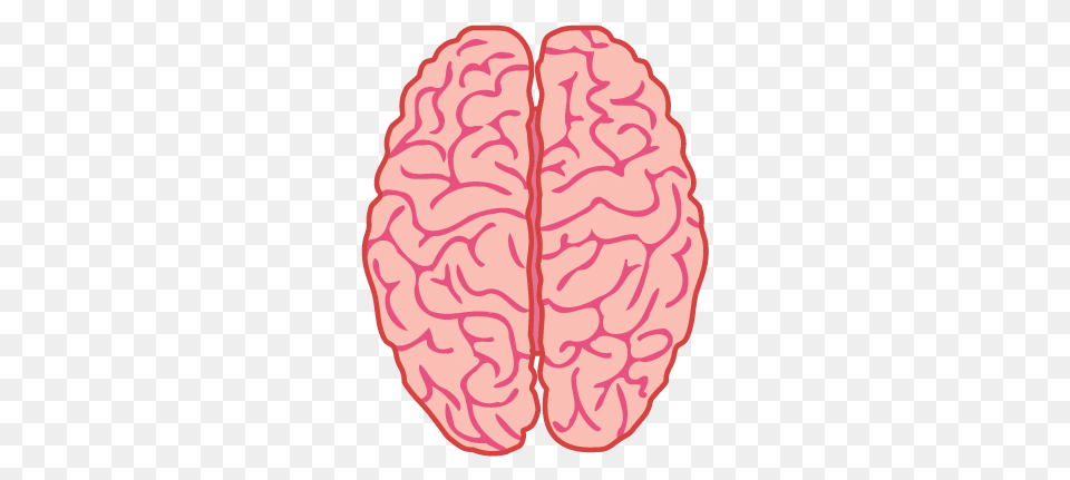 Brain, Body Part, Mouth, Person, Face Free Transparent Png