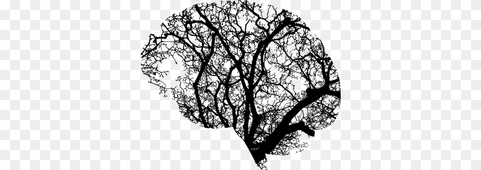 Brain Gray Png Image