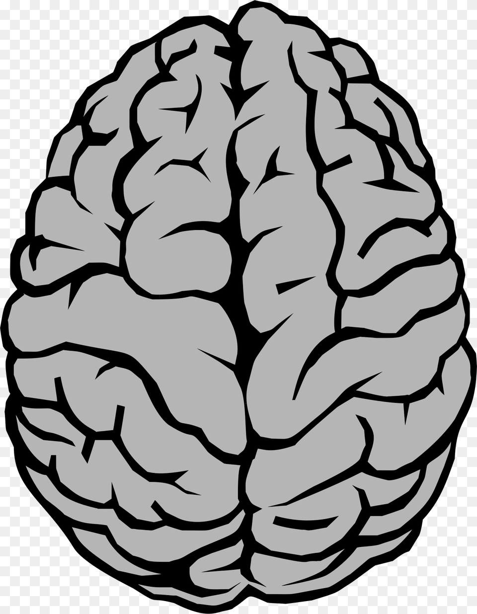 Brain, Person, Ct Scan, Head, Face Free Transparent Png