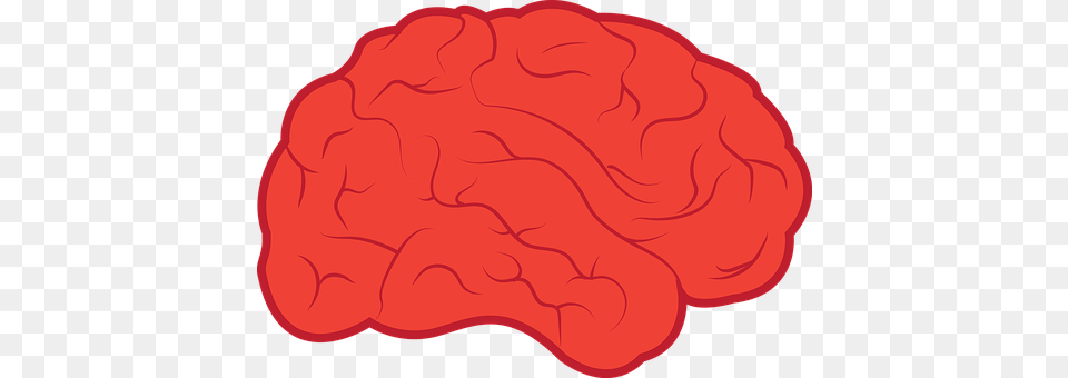 Brain Person Free Png Download