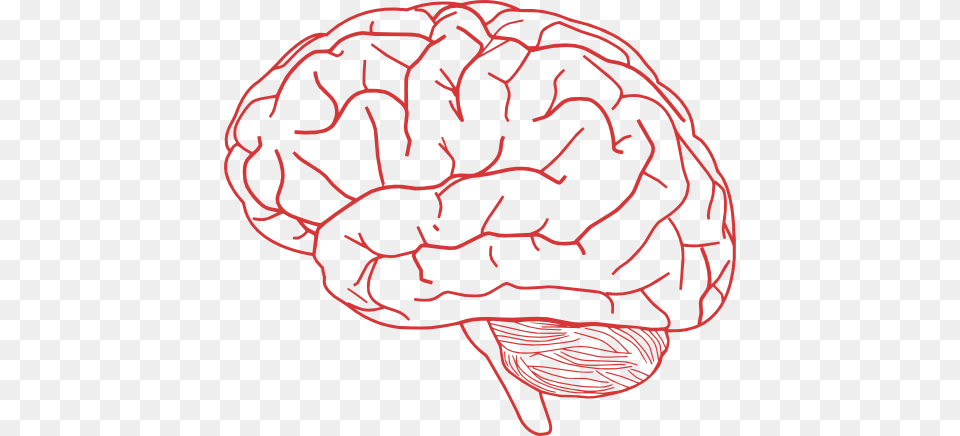 Brain, Berry, Food, Fruit, Plant Free Png