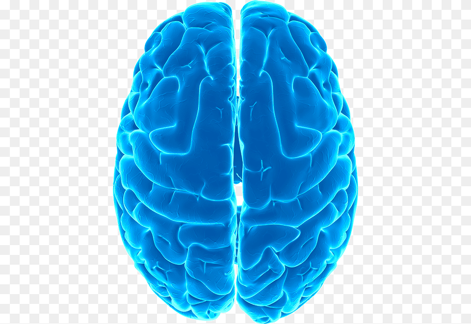Brain, Ct Scan Png