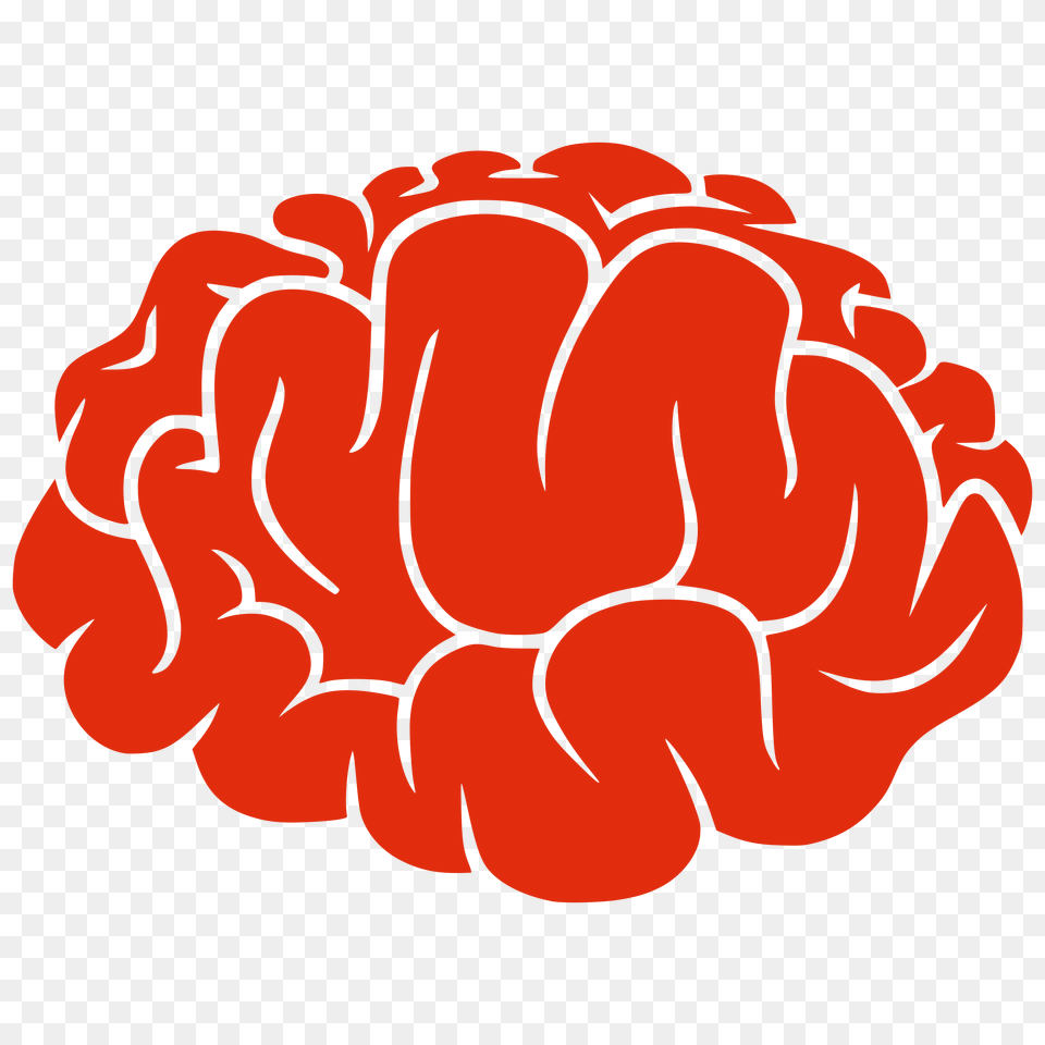 Brain, Hand, Body Part, Person, Raspberry Free Png Download