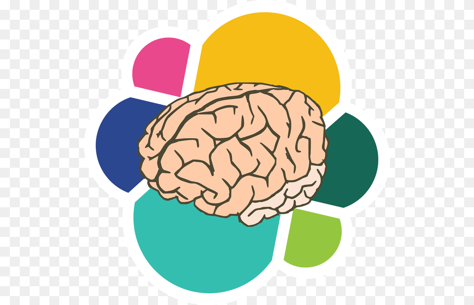 Brain, Nut, Vegetable, Produce, Food Png Image