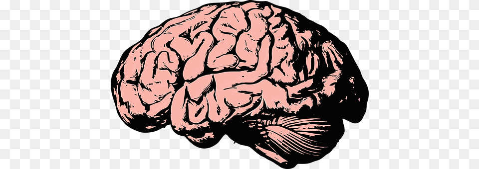 Brain Art, Person, Face, Head Png Image
