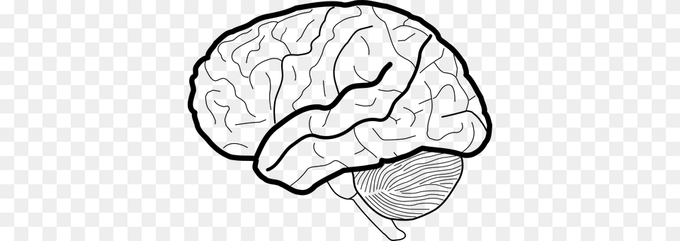 Brain Gray Png Image