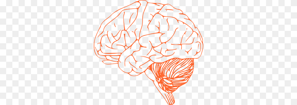 Brain Person Free Transparent Png