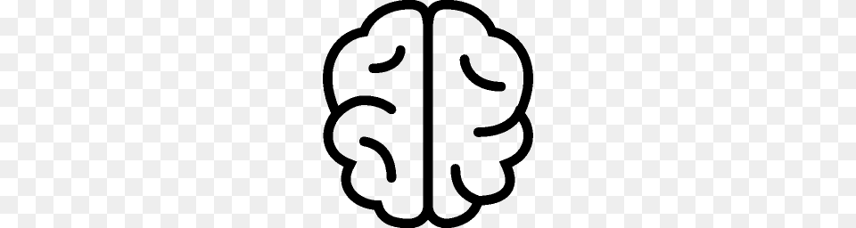 Brain, Gray Png Image