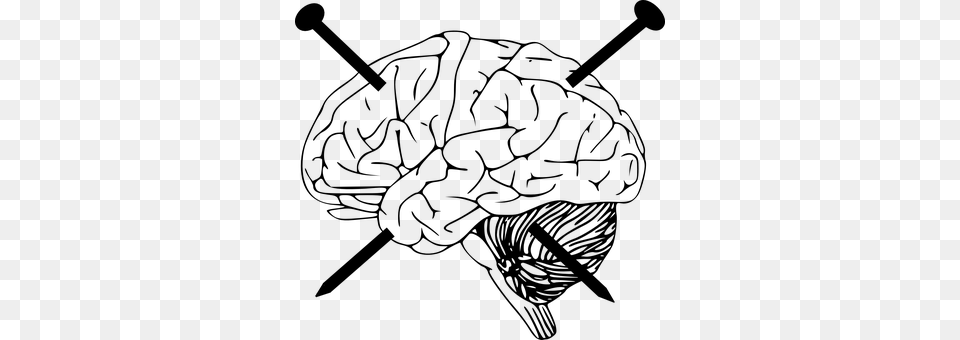 Brain Gray Free Png