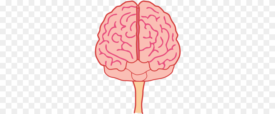Brain, Person, Face, Head Free Png Download