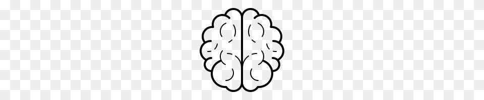 Brain, Gray Free Png