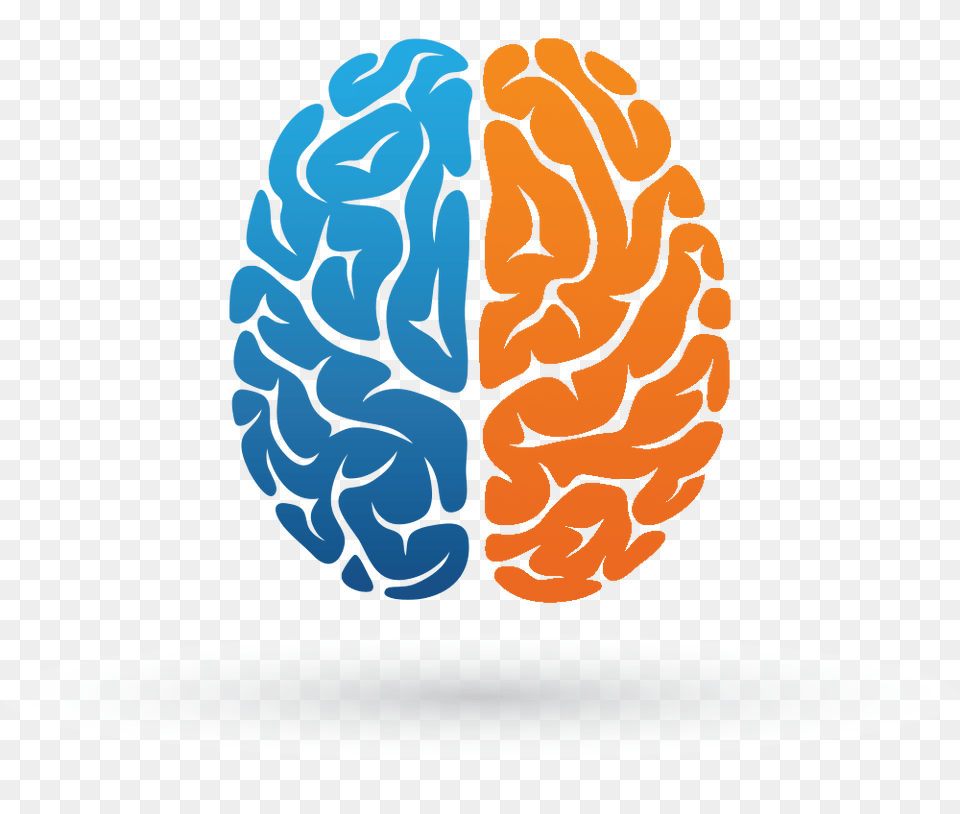 Brain, Person Png Image