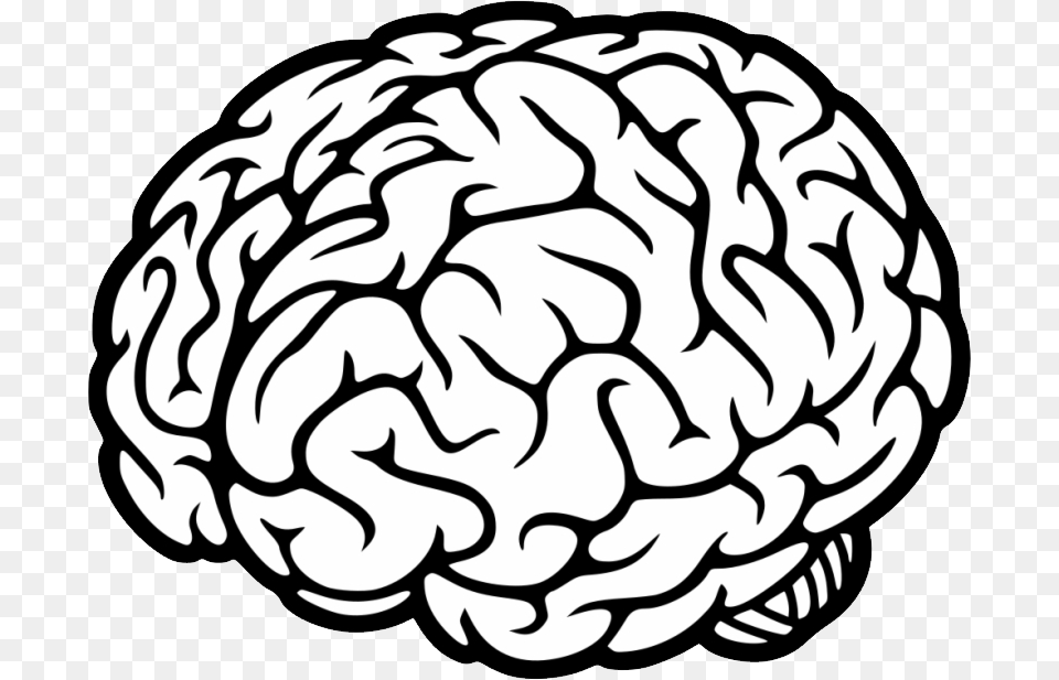 Brain, Baby, Person, Face, Head Free Transparent Png