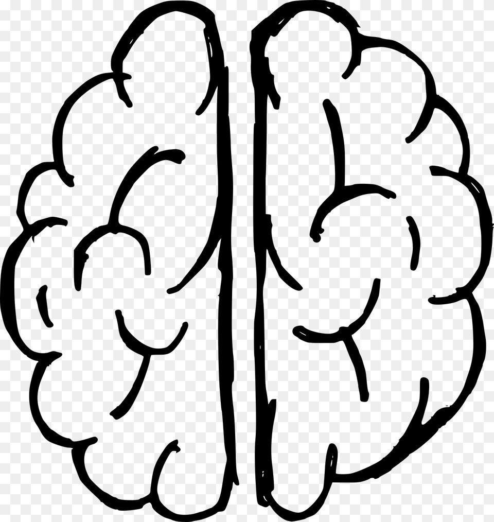 Brain, Gray Free Png Download