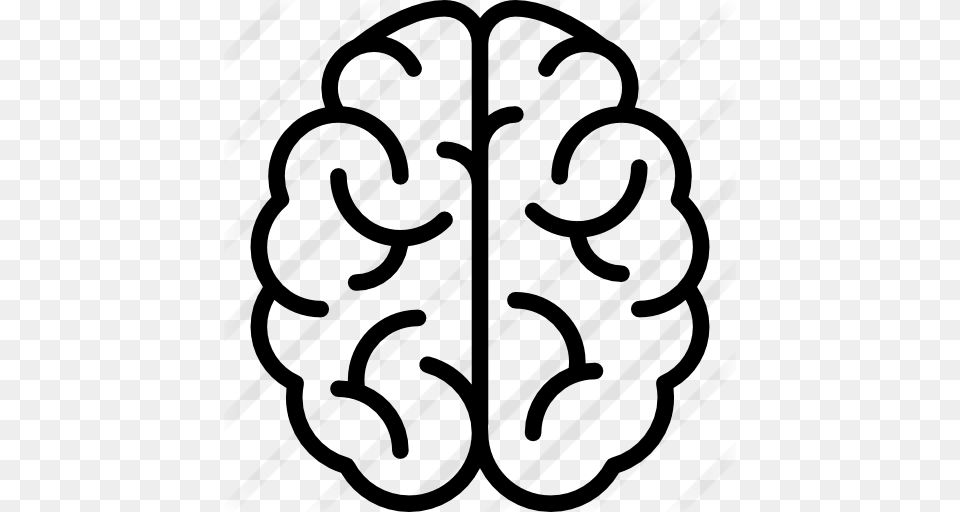 Brain, Gray Free Png