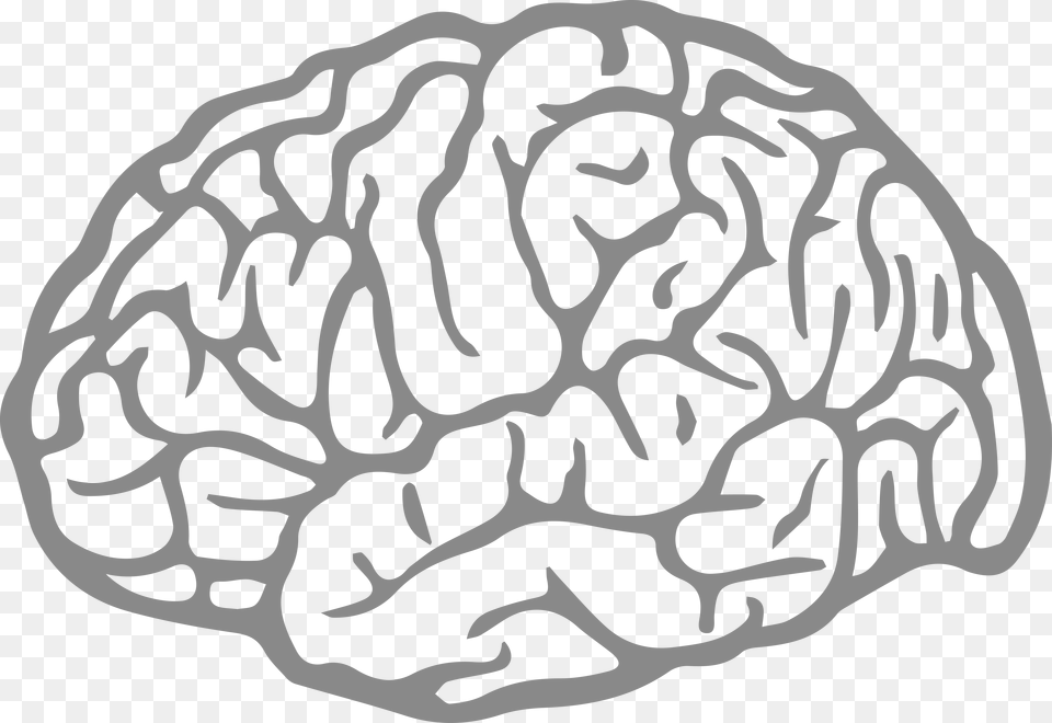 Brain Agy Fatigue Cerebro Vetor, Food, Nut, Plant, Produce Png
