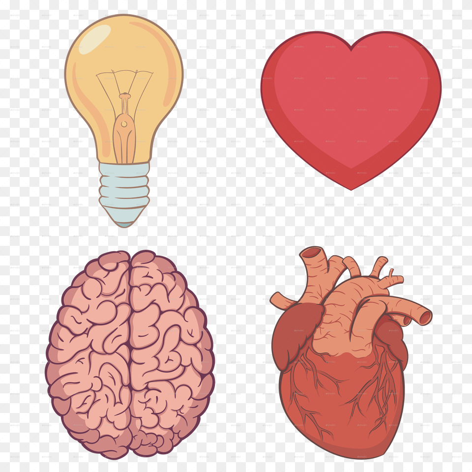Brain And Heart, Light, Lightbulb Free Png