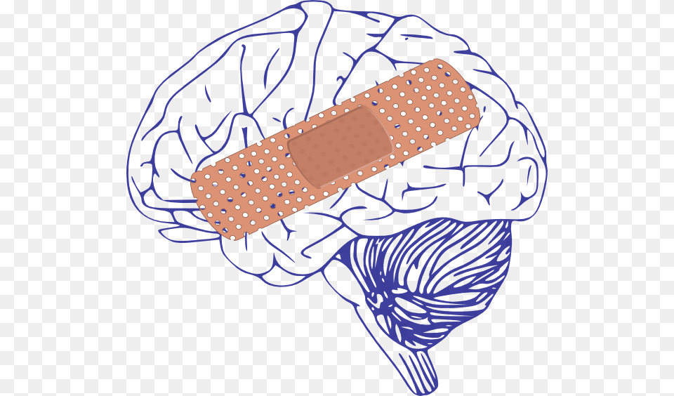 Brain Big Bandaid Clip Art Brain Clip Art, Bandage, First Aid, Animal, Kangaroo Png Image
