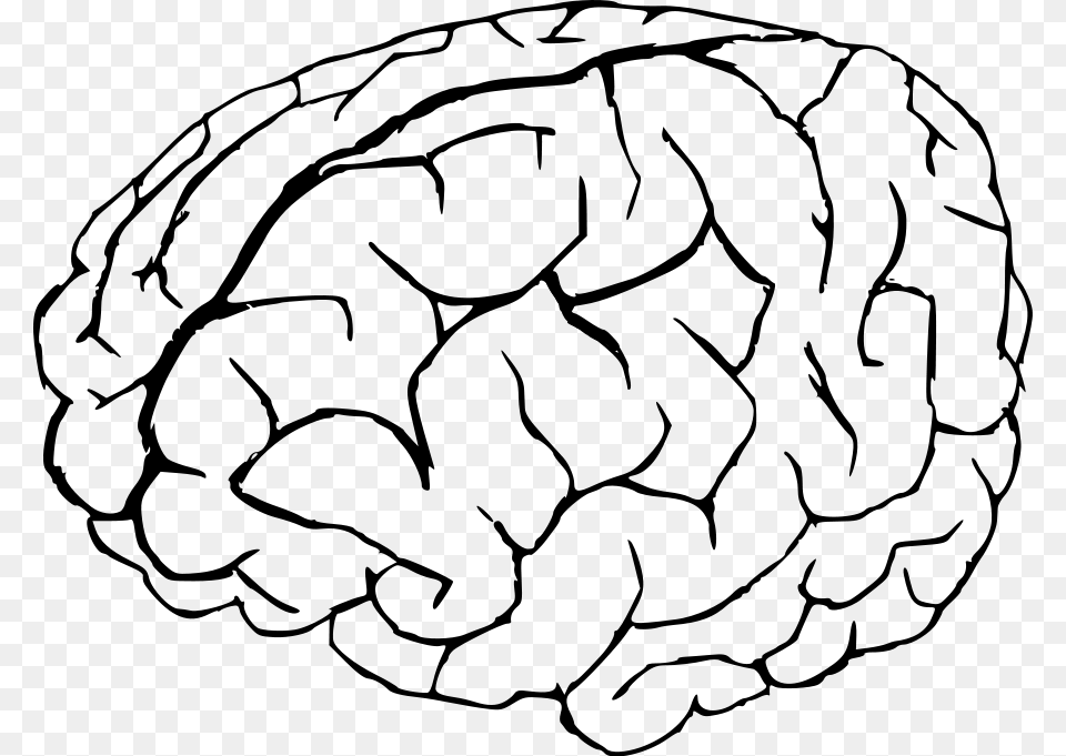 Brain Black And White Clipart, Gray Free Png Download