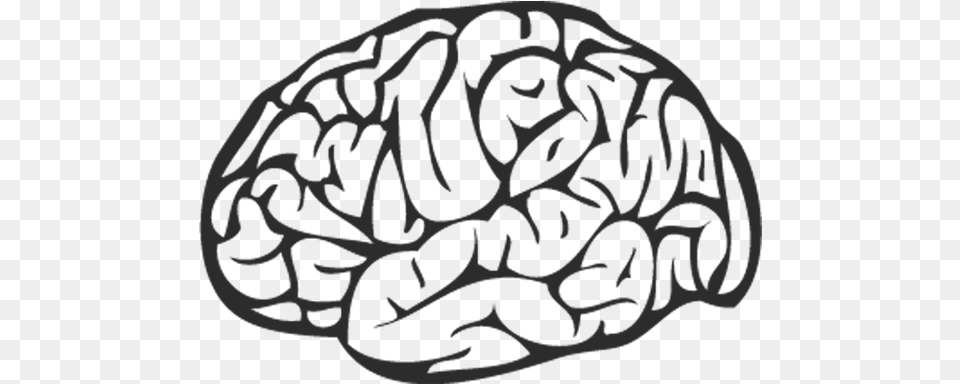 Brain Black Brain Black And White, Ct Scan, Person Free Transparent Png