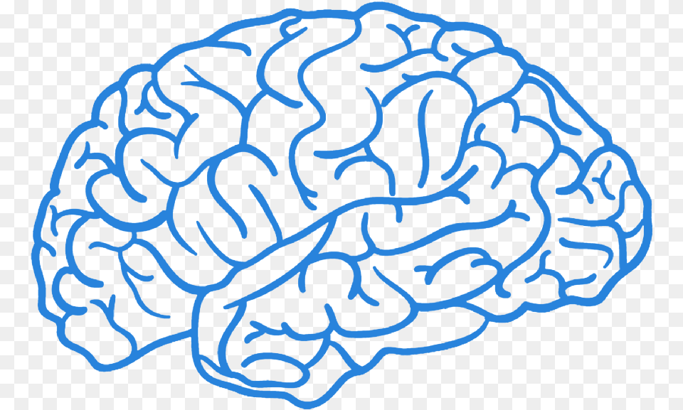 Brain Boy Brain, Animal, Sea Life, Sea, Reef Free Png Download