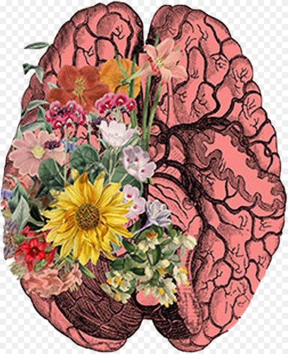 Brain Brain And Flower, Art, Floral Design, Graphics, Pattern Free Transparent Png