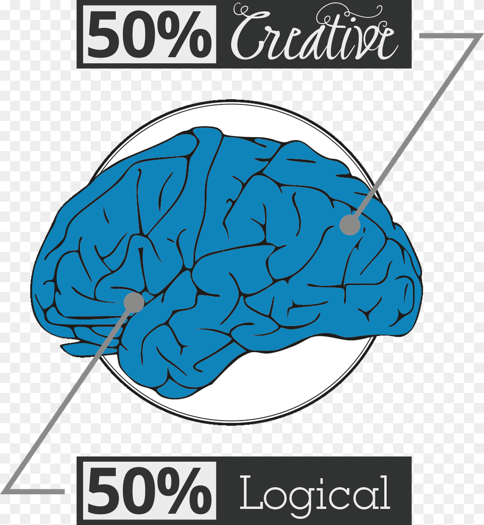 Brain Brain Clip Art, Ct Scan Png