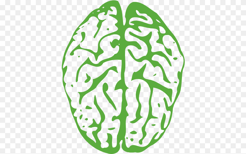 Brain Brain Clipart Transparent Background, Ct Scan, Leaf, Plant, Green Png