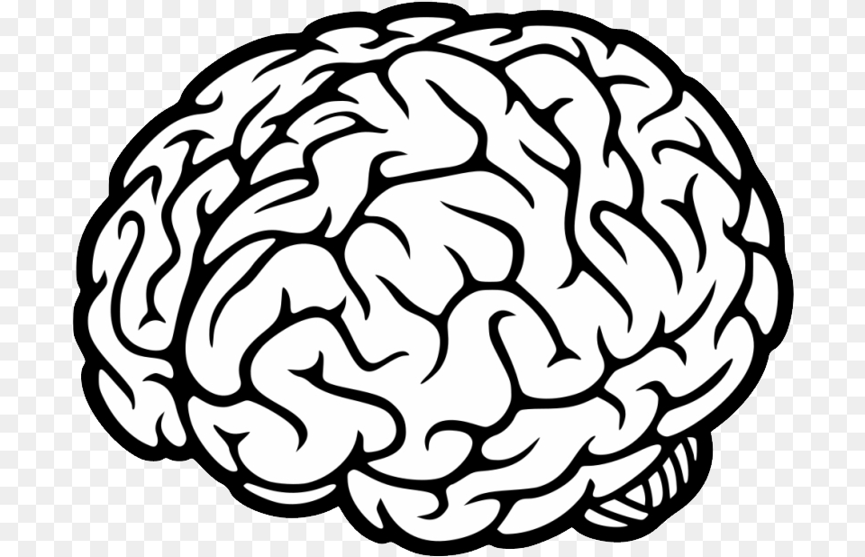 Brain Brain Icon Transparent Background, Person, Face, Head, Food Free Png