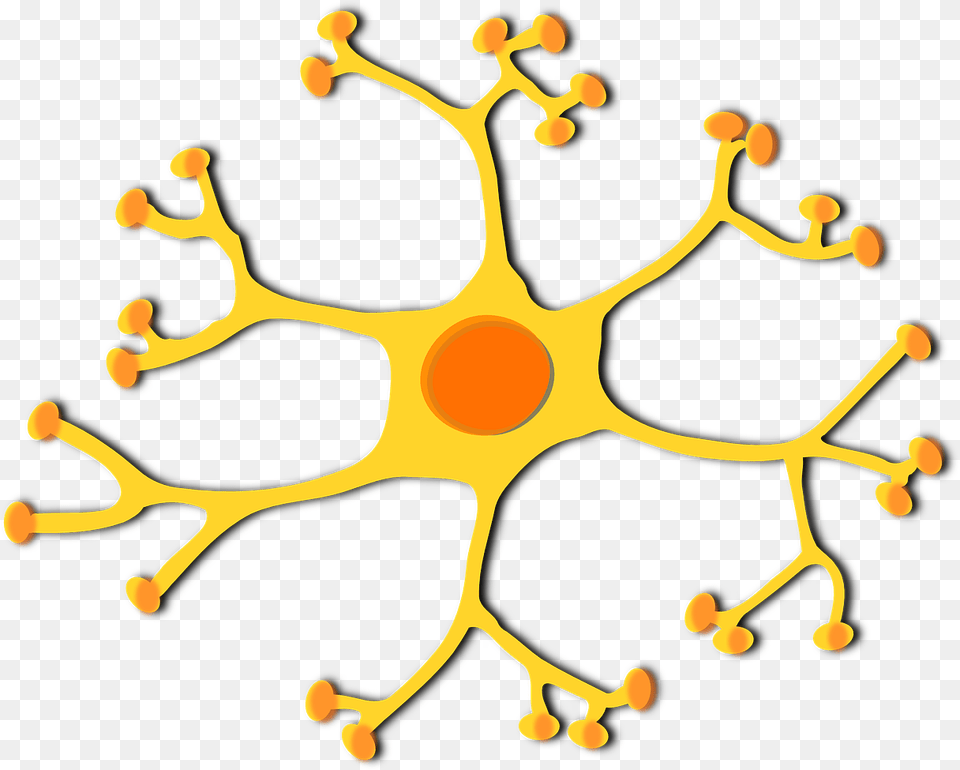 Brain Cell Clipart, Plant, Pollen, Accessories, Pattern Free Png Download