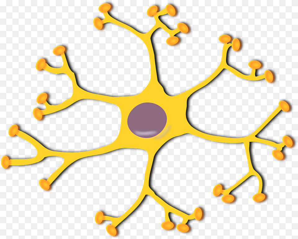 Brain Cells Clipart, Accessories, Plant, Pollen, Pattern Free Png Download