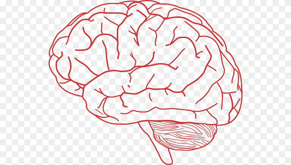 Brain Clip Art Free Png