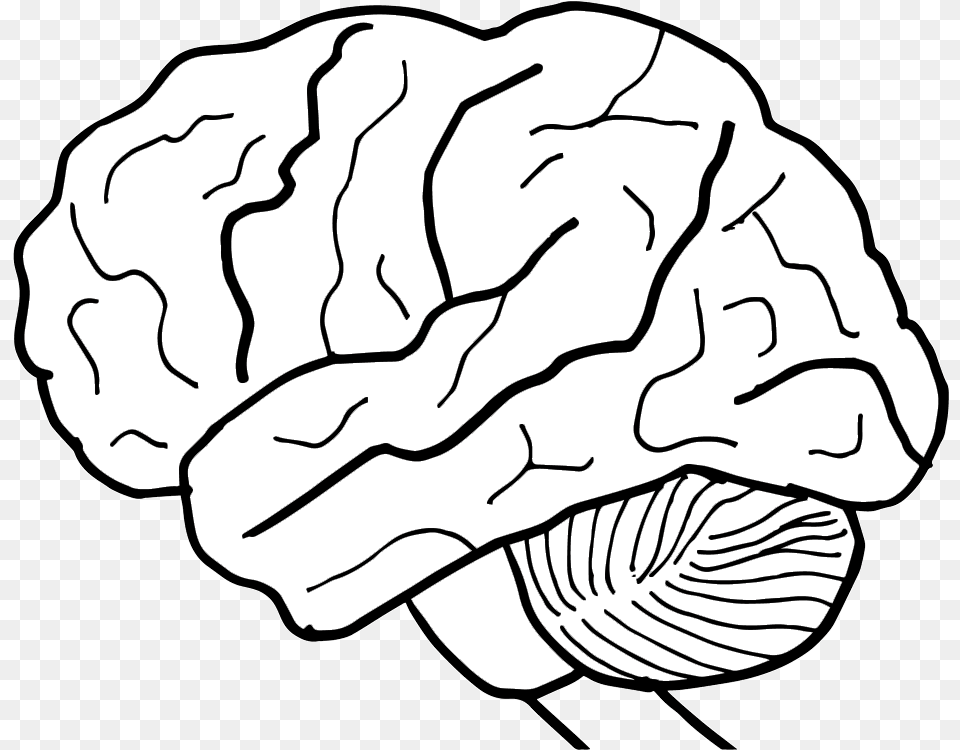 Brain Clip Art Black And White Brain, Food, Nut, Plant, Produce Png