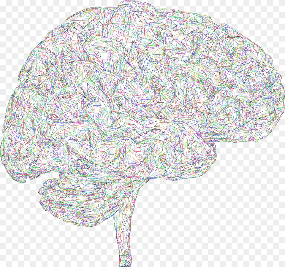 Brain Clipart, Pattern, Art, Animal, Nature Free Png Download