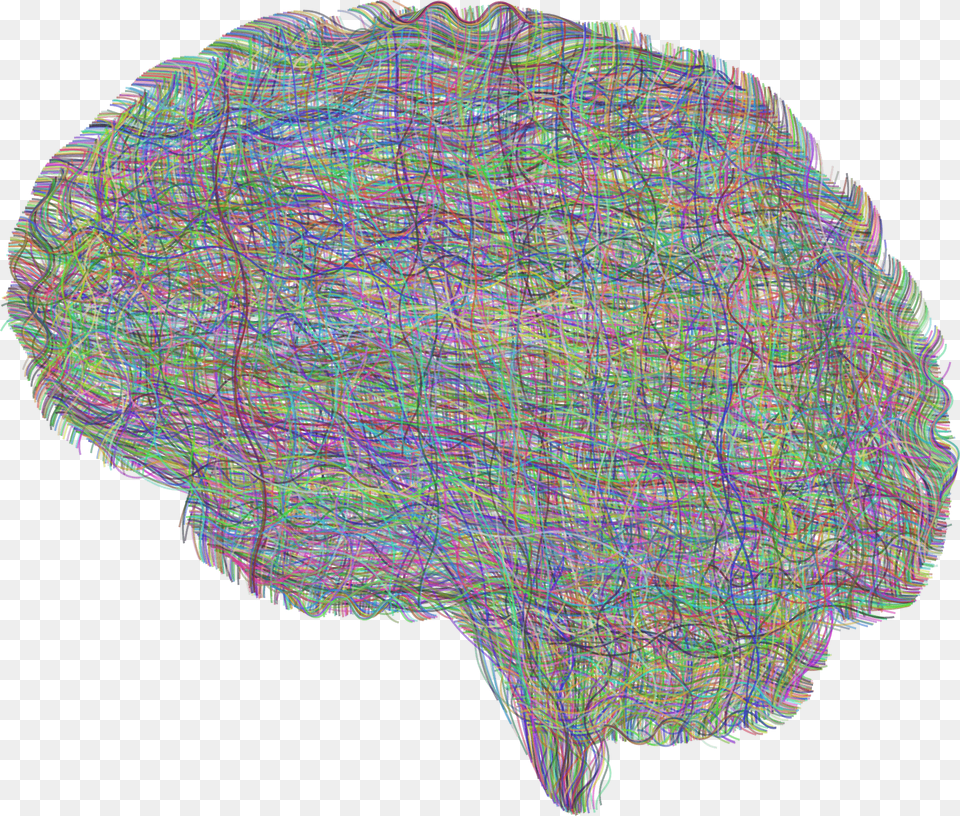 Brain Clipart, Art, Plant Png