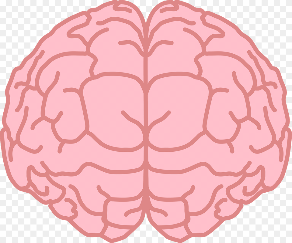 Brain Clipart, Berry, Food, Fruit, Plant Png Image