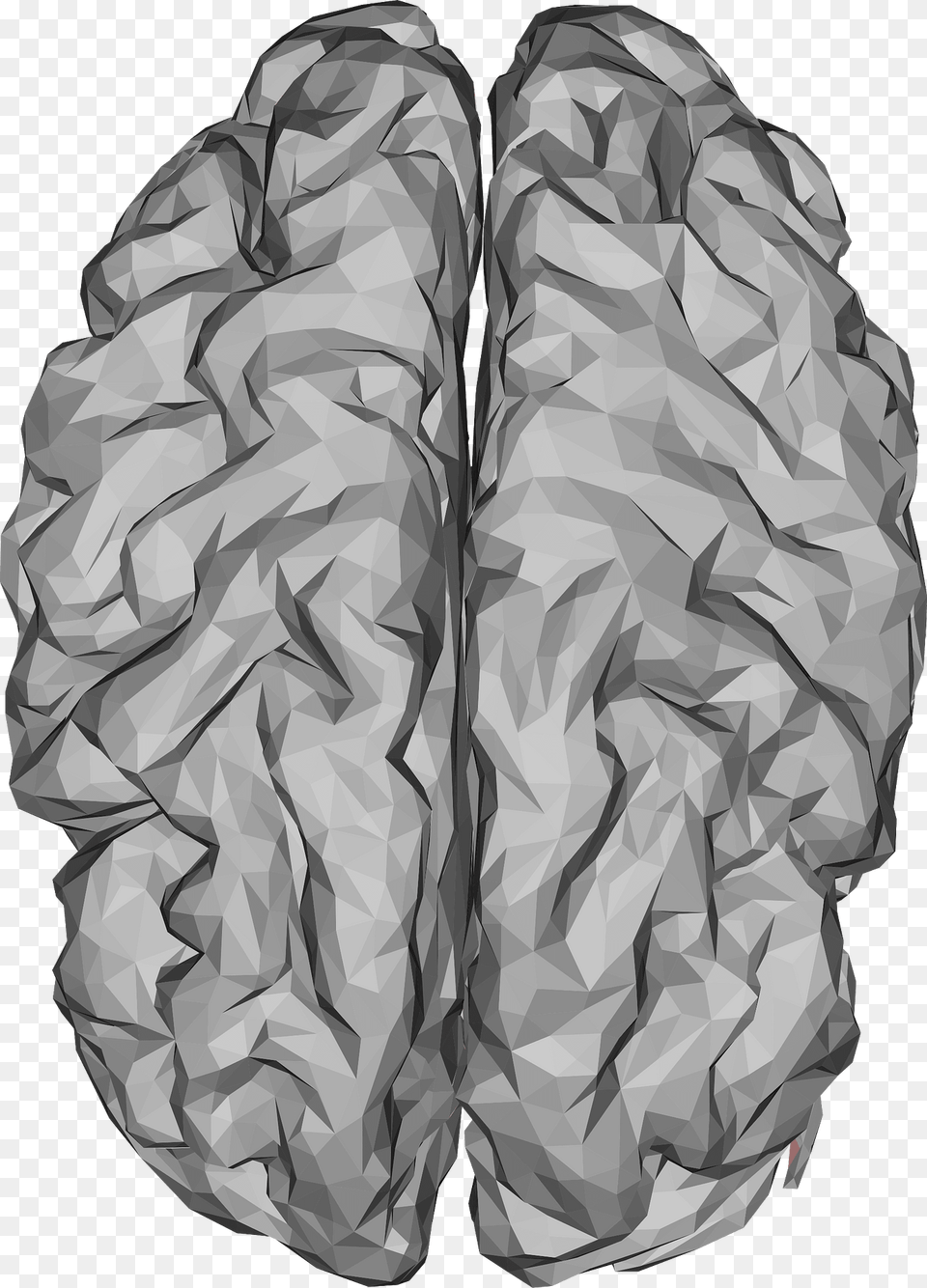Brain Clipart, Adult, Male, Man, Person Free Png